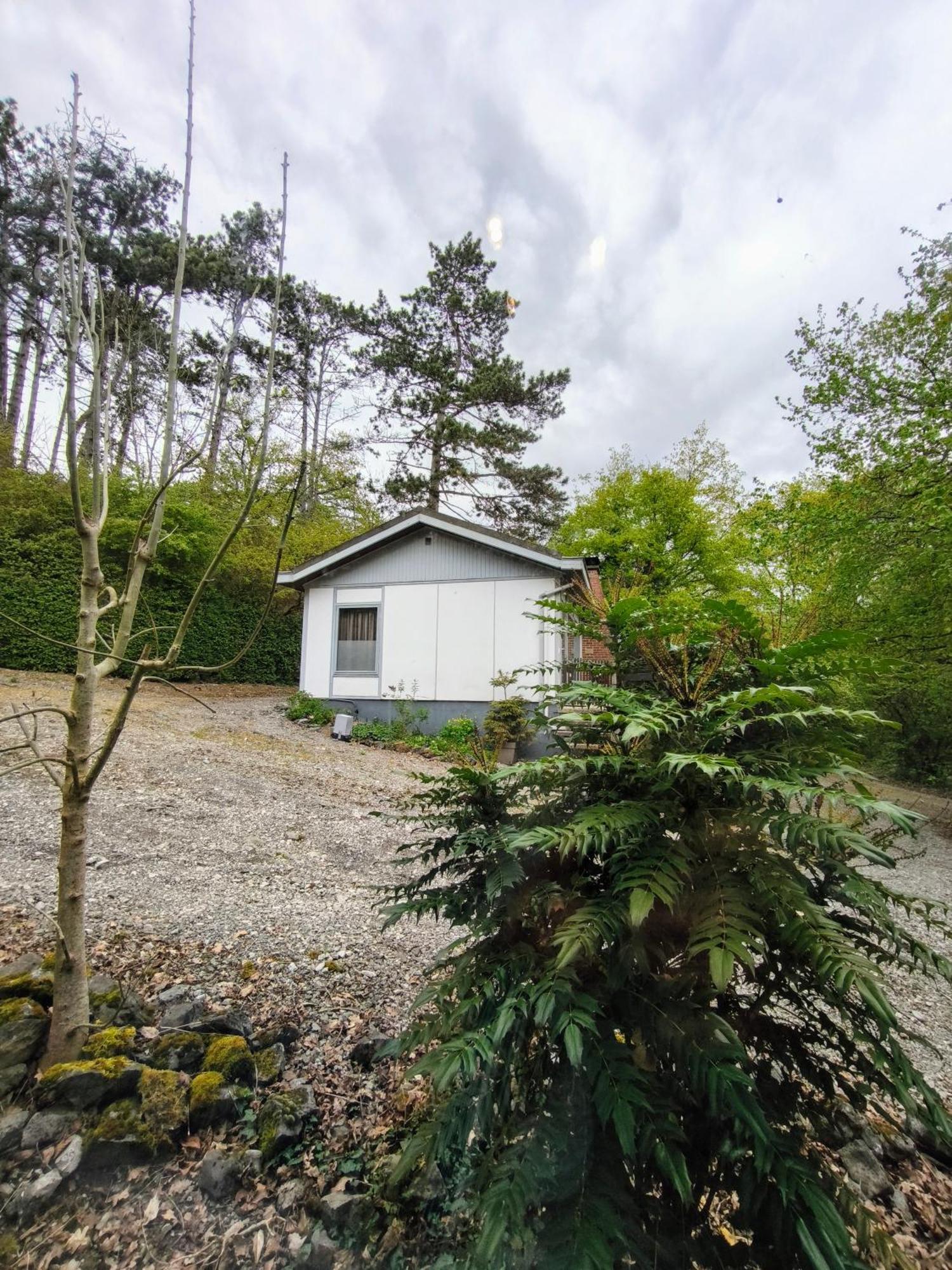 Au Bois Charmant Waulsort Zimmer foto